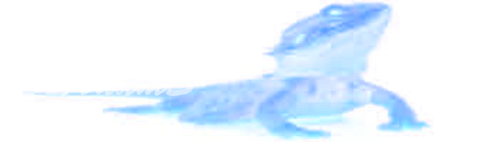 1292721465-U226022.png