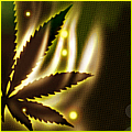 1297588100-U90533.png
