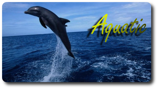 1299096215-U51337.png