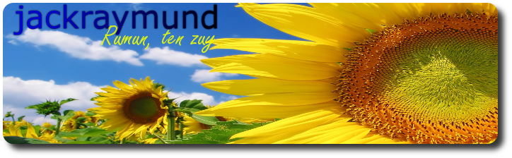 1299261990-U51337.png
