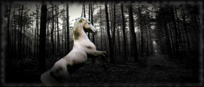 1305561611-U250803.png