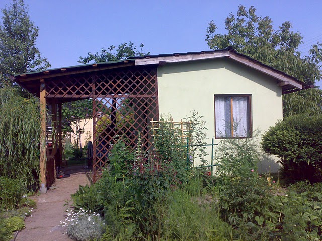 1307344631-U150374.jpg