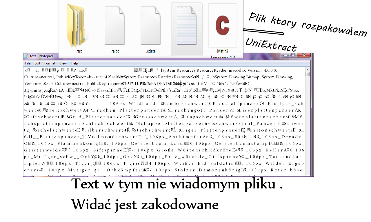 1312728669-U368380.jpg