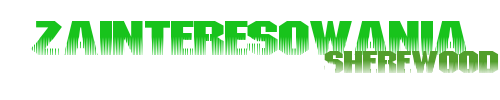 1313068985-U377212.png