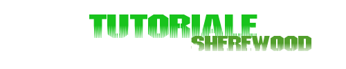 1313069043-U377212.png