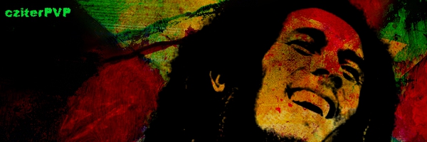 1313157092-U378900.jpg