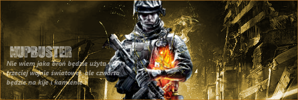1313333807-U377212.png