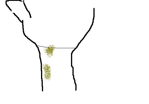 1315997569-U255743.jpg