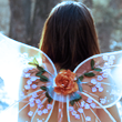 1317064752-U195480.png