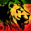1317065538-U195480.png