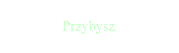 1319600621-U250803.png