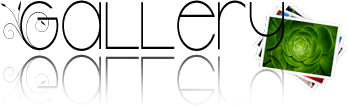 1320474318-U215643.png