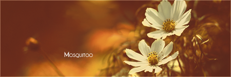 1321773425-U215643.png