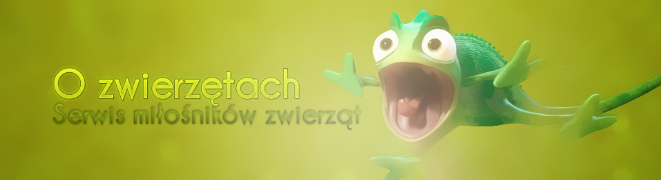 1322902251-U215643.png