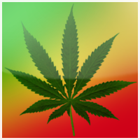 1323700741-U393033.png