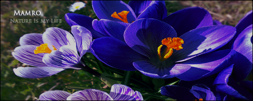 1324714034-U480321.png