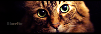 1325774417-U24240.png