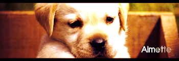 1325778535-U24240.png