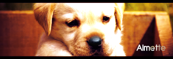 1325779446-U24240.png