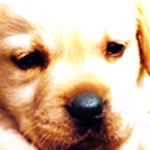 1325779642-U24240.png