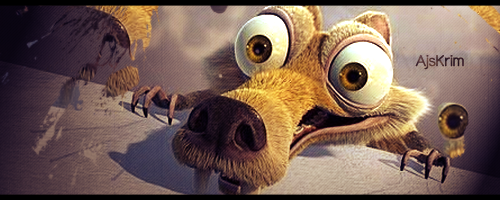 1325860960-U24240.png