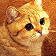 1326201797-U24240.png