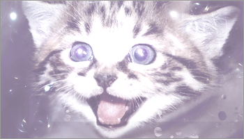1327571286-U407854.png