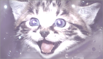 1327571435-U407854.png