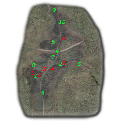 1343991046-U321545.jpg