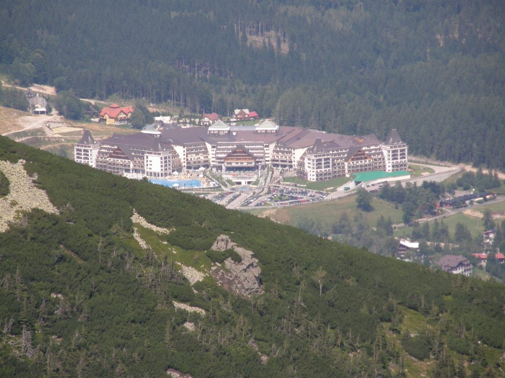 1345987140-U48785.jpg