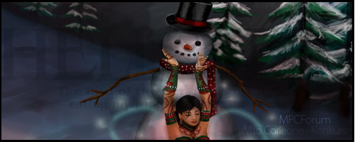 1356372610-U779742.png