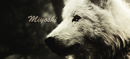 1358987664-U261555.png