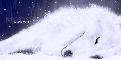 1359036122-U334301.png