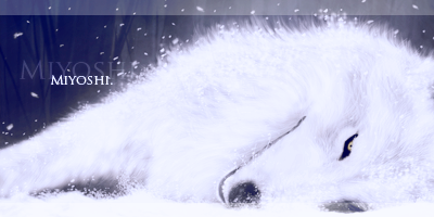 1359036131-U334301.png