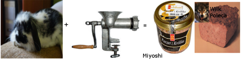 1359041348-U576612.png
