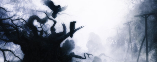 1361624550-U334301.png