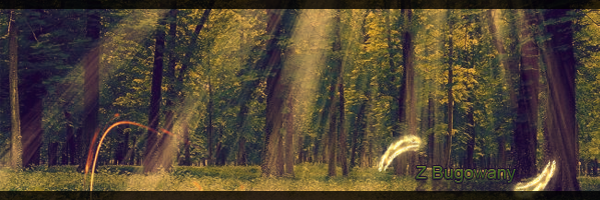1364504195-U286260.png