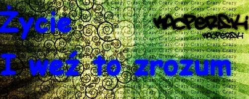 1365268870-U899359.jpeg