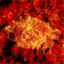 1367011354-U383457.jpg