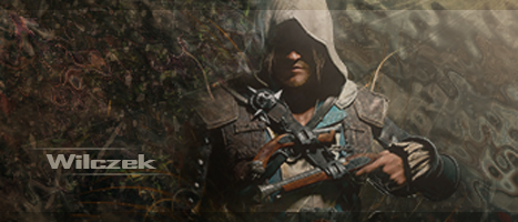 1367586656-U384748.png