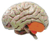 1369223855-U722206.jpg