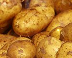 1370552379-U470972.jpg
