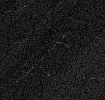 1370665294-U470972.jpg
