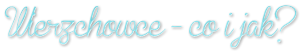 1372306390-U956368.png