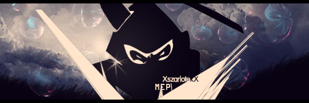 1372661571-U447591.png