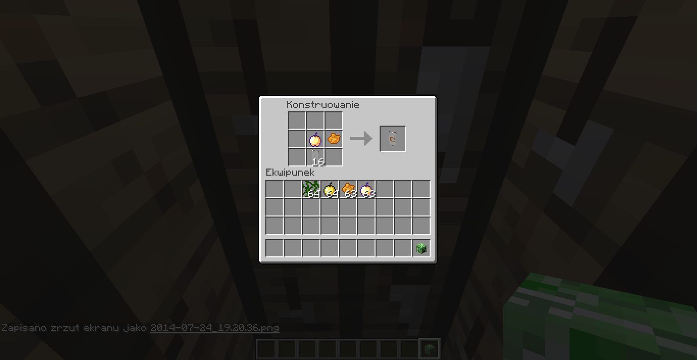137381407785536949736.png