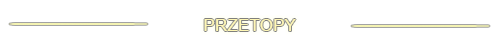 1375875333-U987960.png