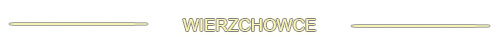 1375875903-U987960.png