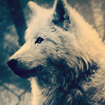 1376332332-U387138.png
