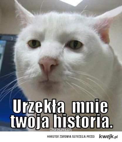 1376409231-U992212.jpg